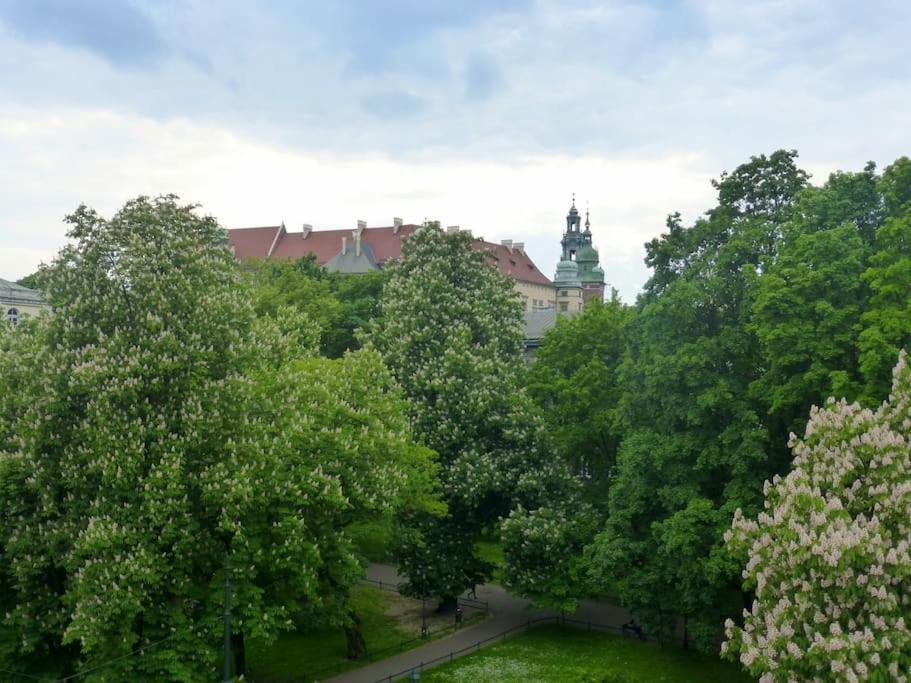Apartament Gertrudy Belle Apartment Krakow Bilik gambar